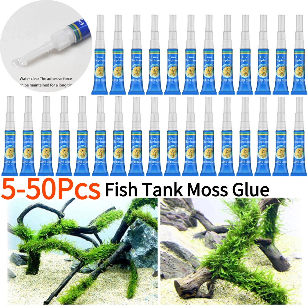 Aquarium Plant Gel - 50-5 Stuks Aquarium Landschapsarchitectuur Mos Lijm