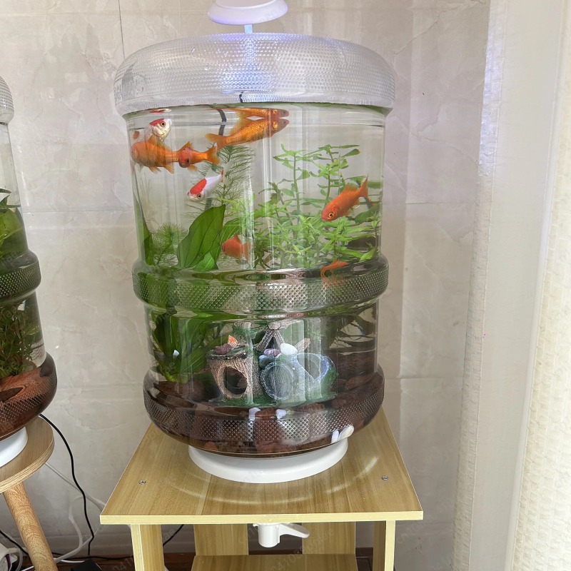 Aquarium Planted Set Up - Instant Setup Home Fish Tank 30x30cm