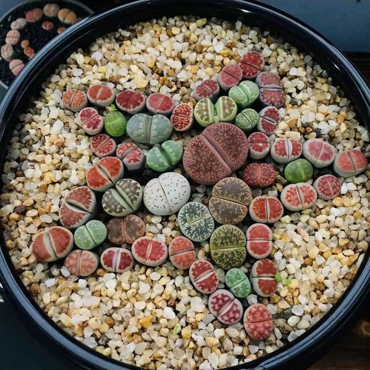 1pc-250g Natuurlijke Kristalle - Aquarium Planted Sand recensie en prijs