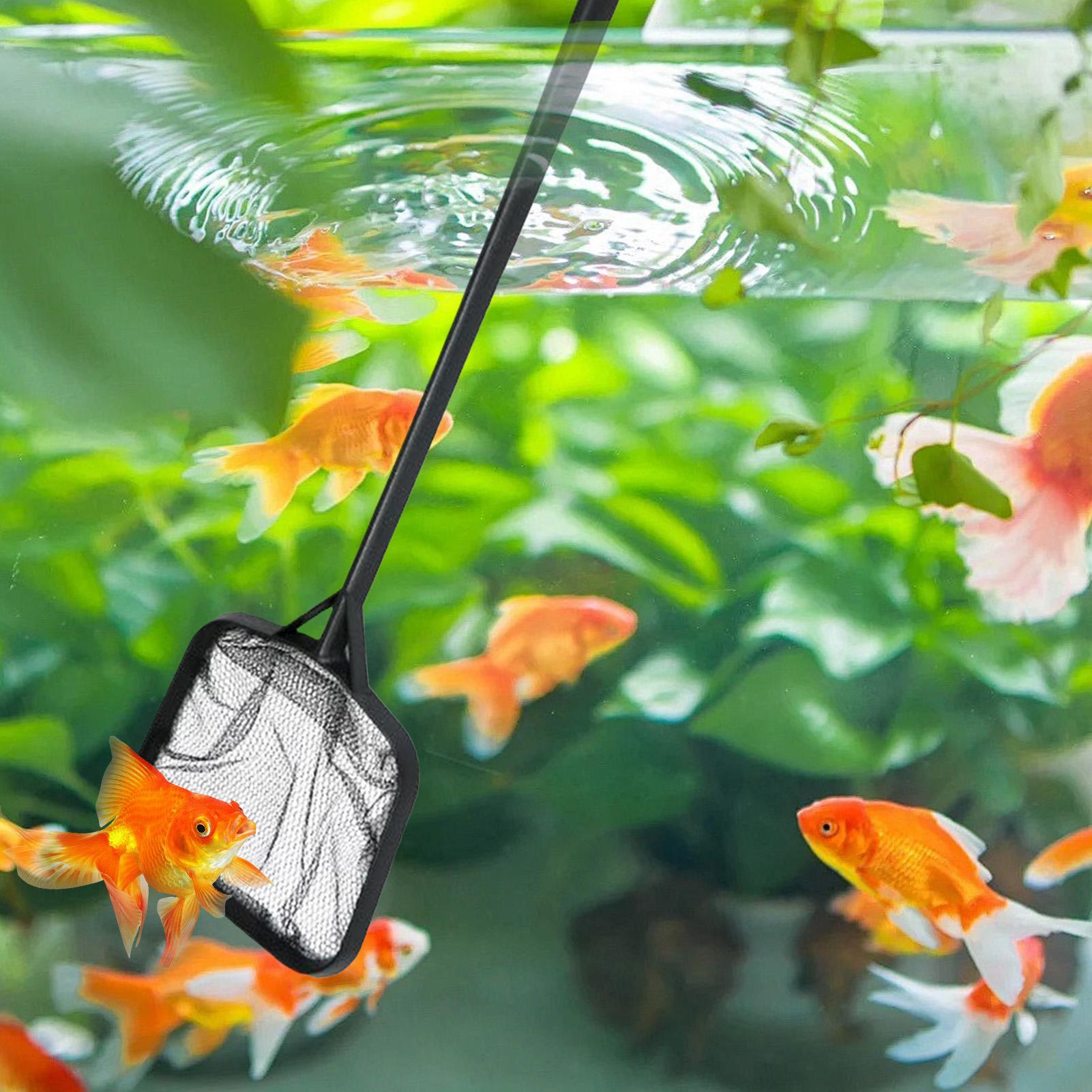 Zwembadnetten voor het reinige - Planted Aquarium Cleaning recensie en prijs