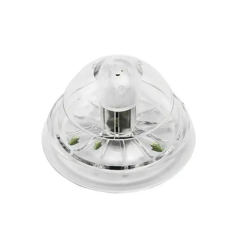 2026 Nieuwe 6/8CM Transparante - Planted Aquarium Cleaning recensie en prijs
