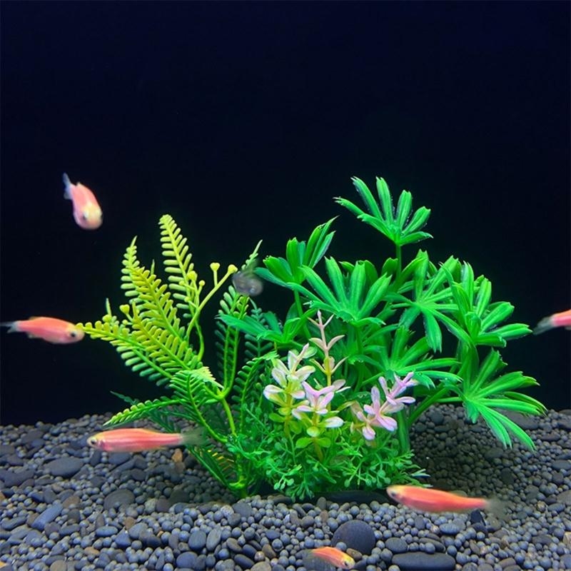 Kunstmatige aquariumdecoratie  - Aquarium Plants For Sale recensie en prijs