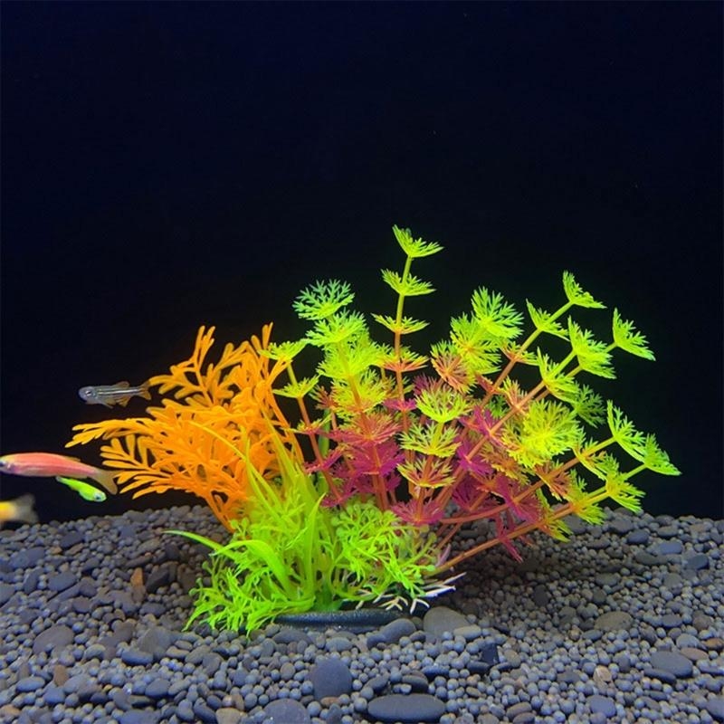 Kunstmatige aquariumdecoratie  - Aquarium Plants For Sale recensie en prijs