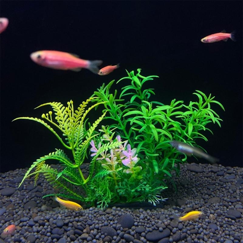 Kunstmatige aquariumdecoratie  - Aquarium Plants For Sale recensie en prijs