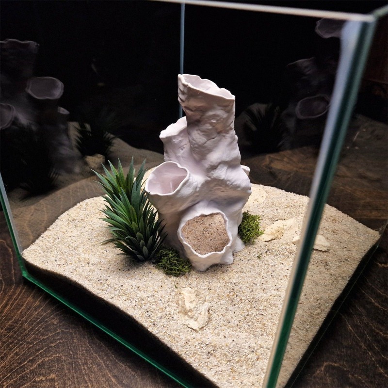 Hete Aanbieding 3D Geprint Kor - Aquarium Plants For Sale recensie en prijs