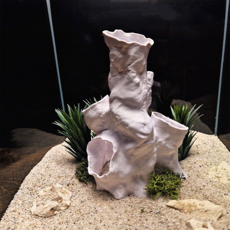 Hete Aanbieding 3D Geprint Kor - Aquarium Plants For Sale recensie en prijs