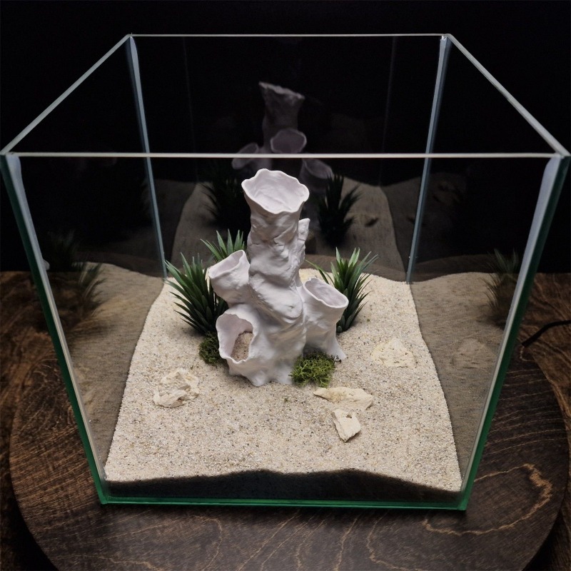 Hete Aanbieding 3D Geprint Kor - Aquarium Plants For Sale recensie en prijs