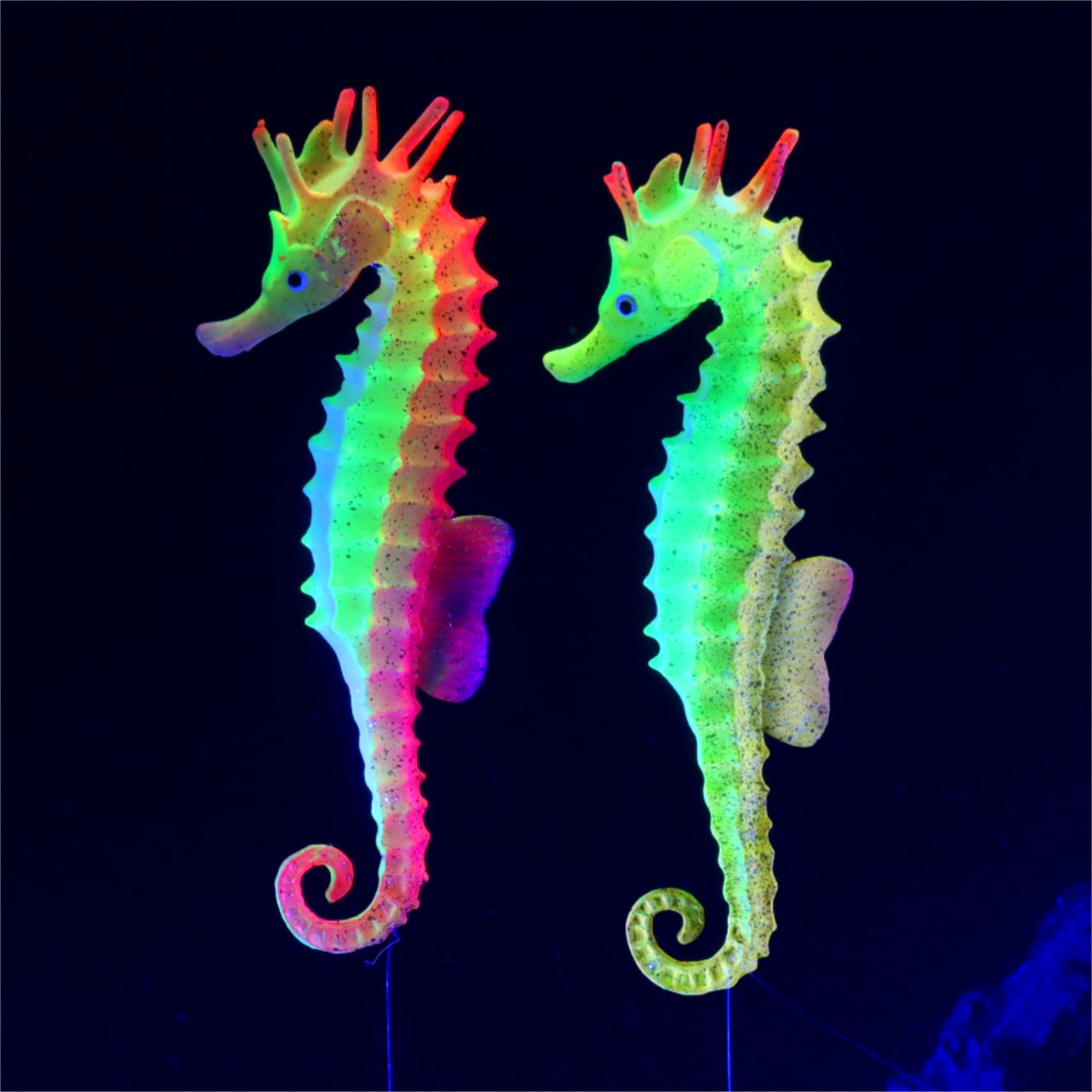 1pc aquariumdecoratie lichtgev - Aquarium Plant Gel recensie en prijs