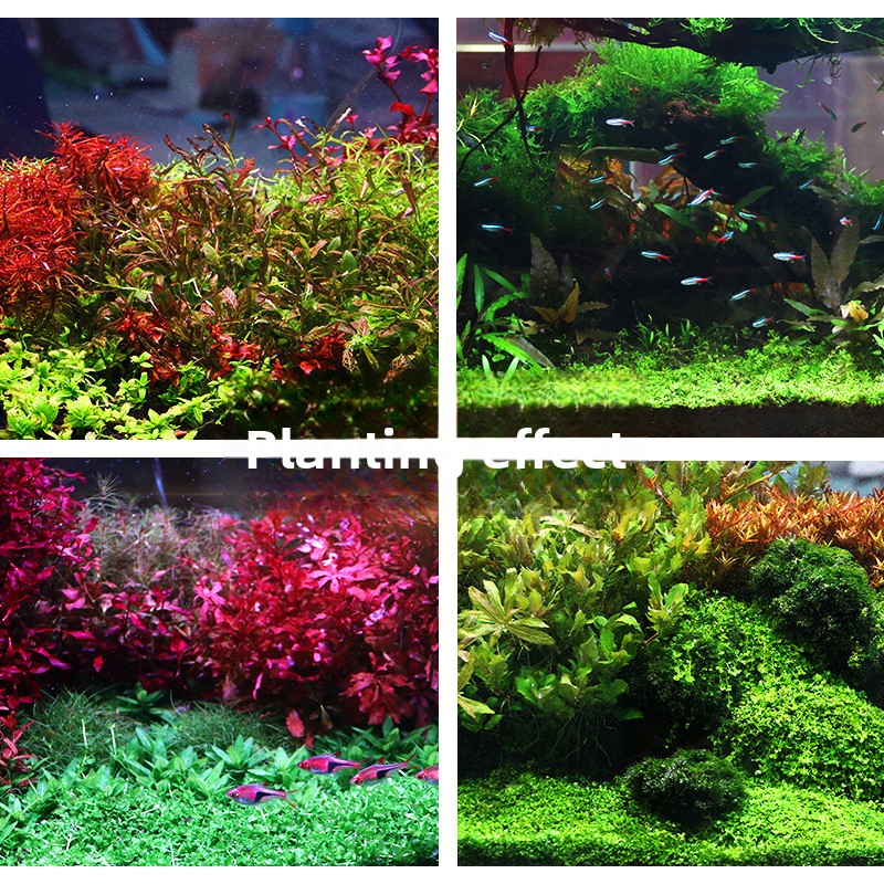 SYSENCIAGA beplant aquariumsub - Aquarium Planted Sand recensie en prijs