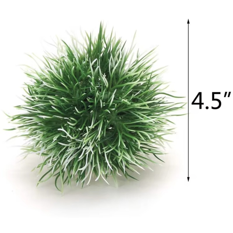 10 stuks Hot Selling Nieuwe Aa - Aquarium Plants For Sale recensie en prijs