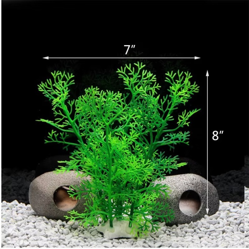 10 stuks Hot Selling Nieuwe Aa - Aquarium Plants For Sale recensie en prijs