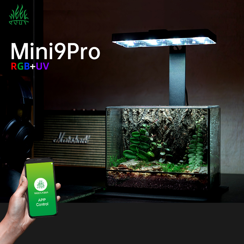 Hete Aanbieding Mini9pro Nano  - Aquarium Plants For Sale recensie en prijs