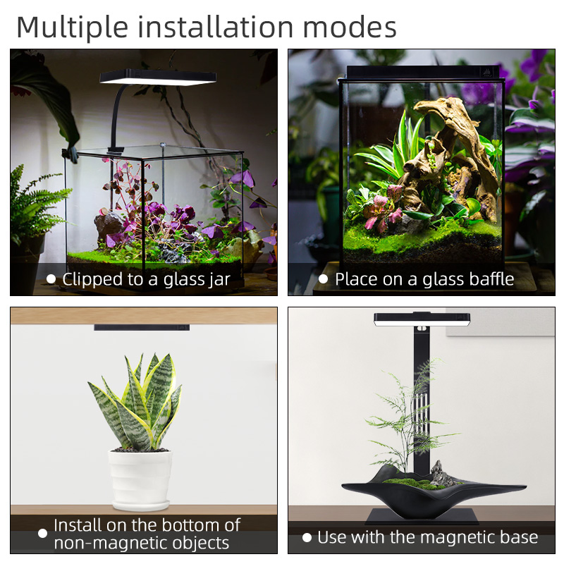 Hete Aanbieding Mini9pro Nano  - Aquarium Plants For Sale recensie en prijs