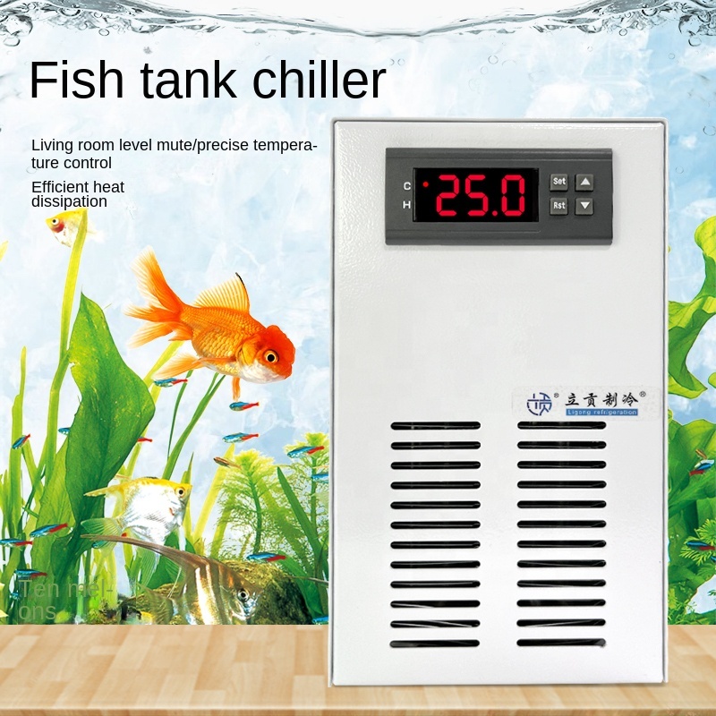 TOP Verkoop aquarium Water Chi - Aquarium Plants For Sale recensie en prijs