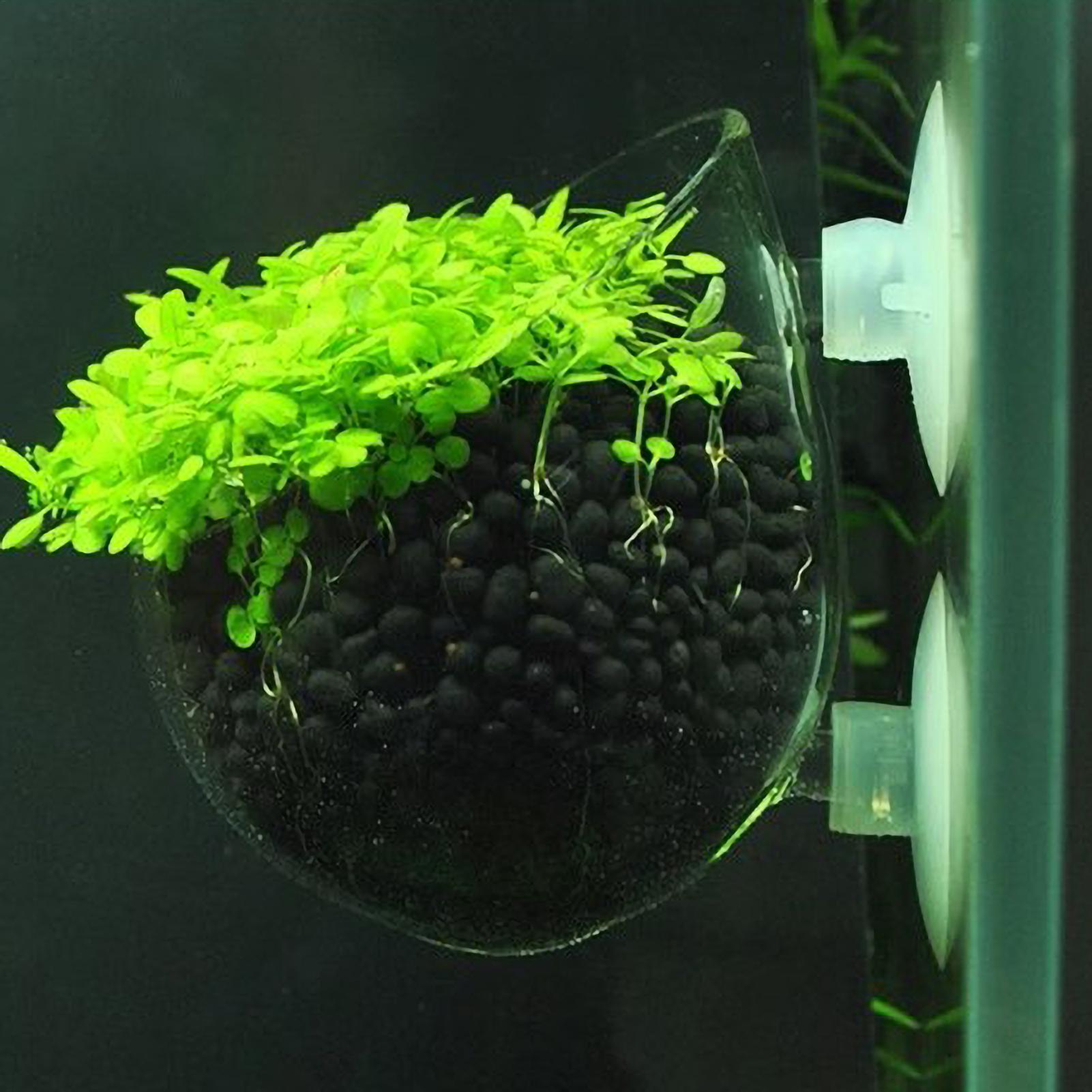 Aquarium glazen plantenpot met - Aquarium Plant Gel recensie en prijs