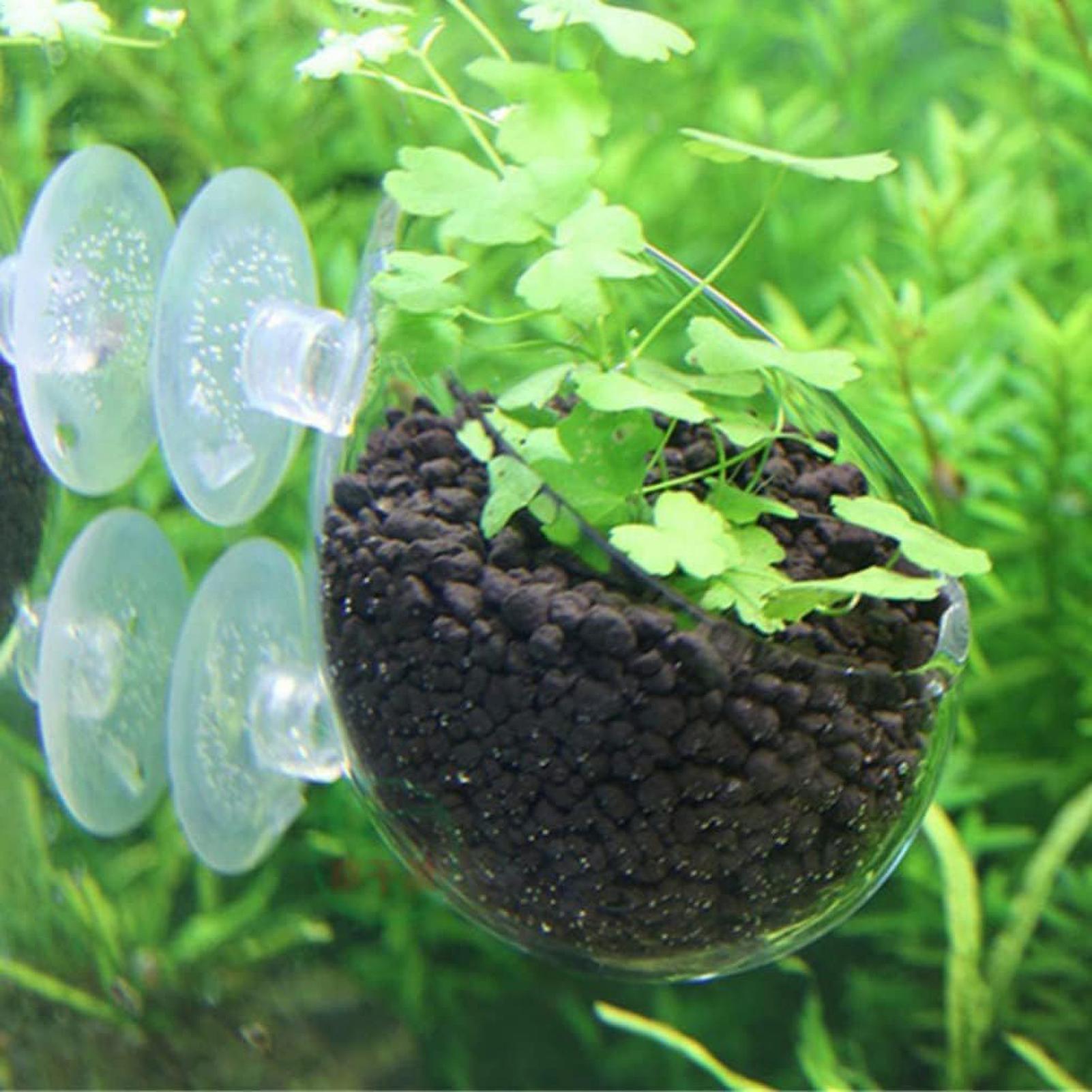 Aquarium glazen plantenpot met - Aquarium Plant Gel recensie en prijs