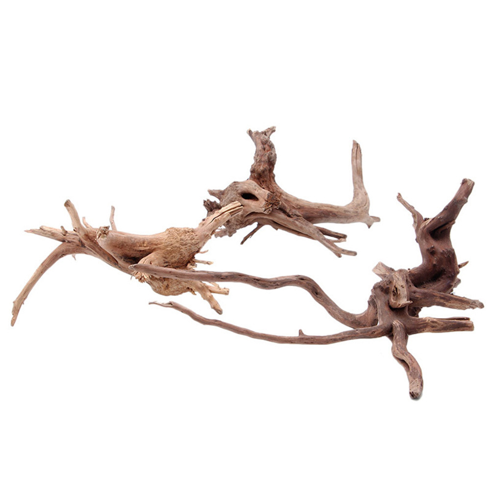 4-delige natuurlijke drijfhout - Aquarium Plants For Sale recensie en prijs