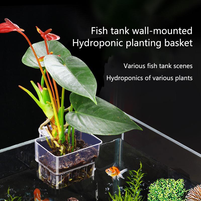 Aquarium Hydroponische Plantbe - Aquarium Planted Set Up recensie en prijs