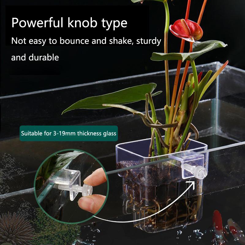 Aquarium Hydroponische Plantbe - Aquarium Planted Set Up recensie en prijs