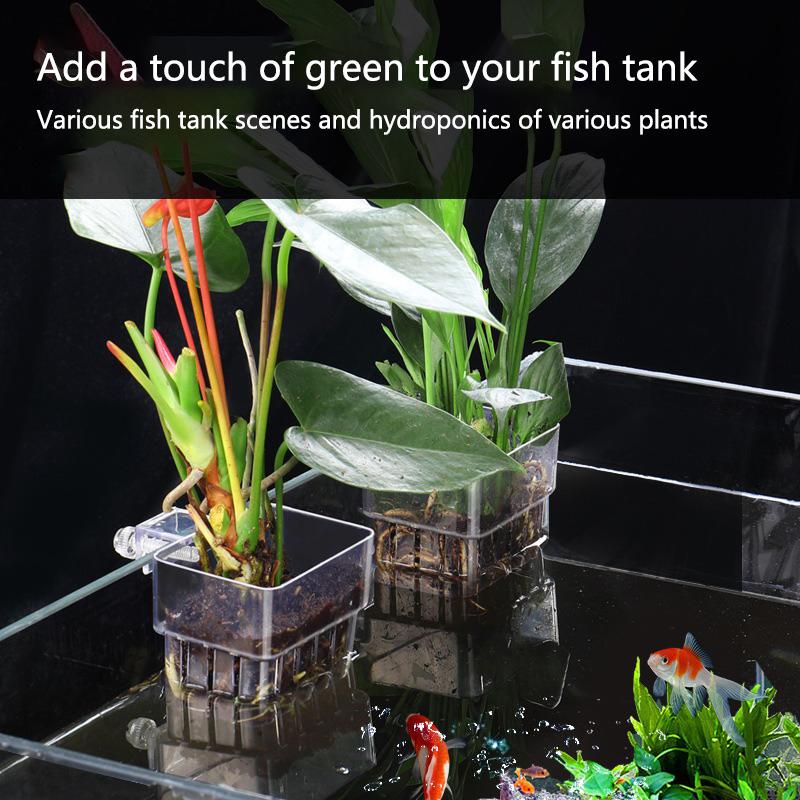 Aquarium Hydroponische Plantbe - Aquarium Planted Set Up recensie en prijs