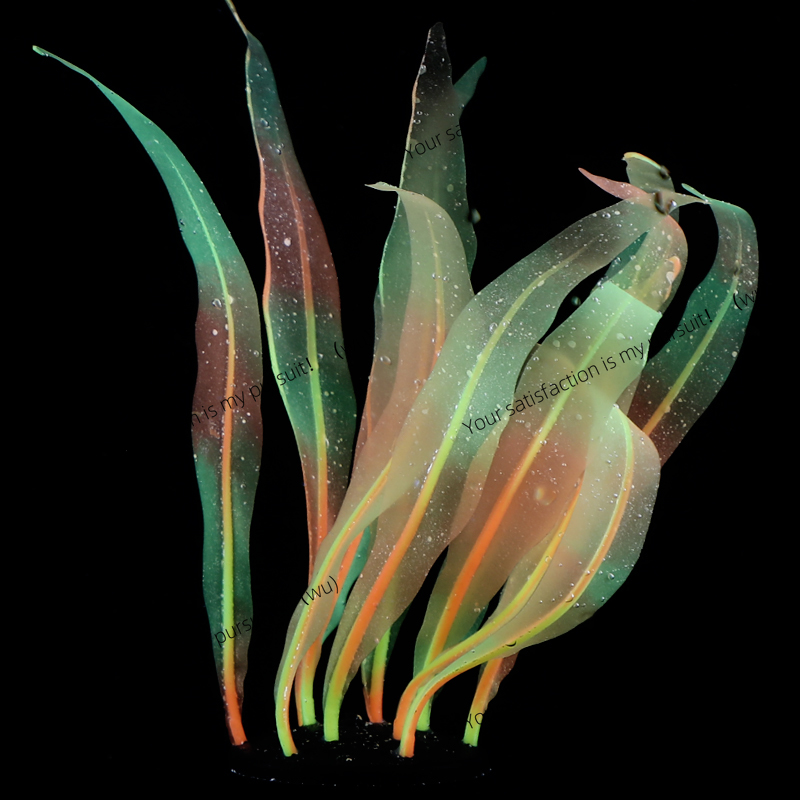 Gesimuleerde Kelp Plant Decora - Aquarium Plant Gel recensie en prijs