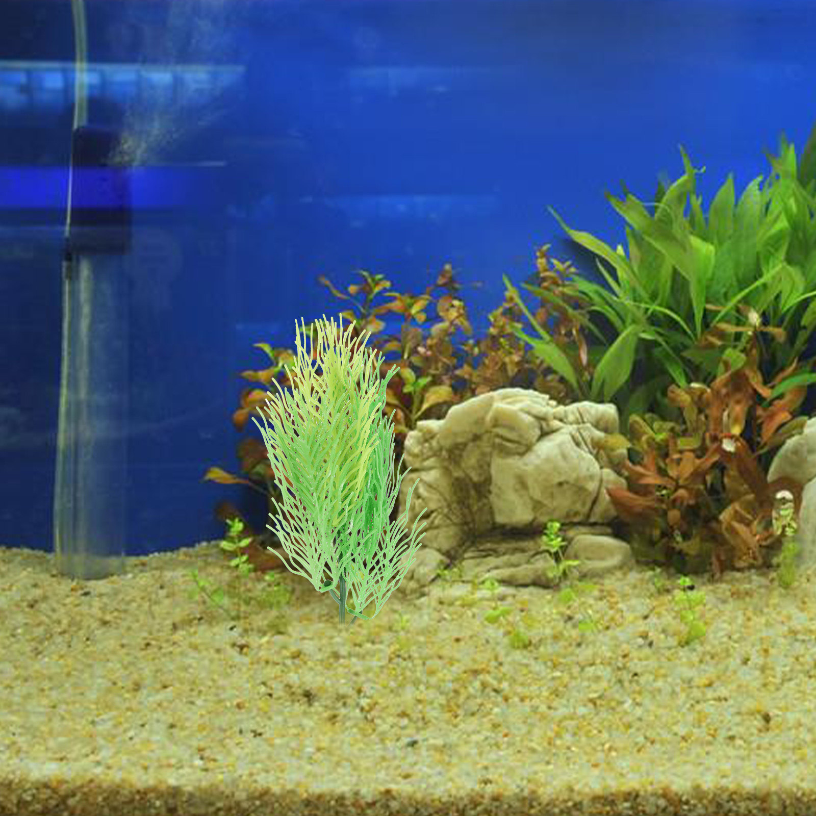 Gesimuleerde Hornwort aquarium - Aquarium Planted Set Up recensie en prijs