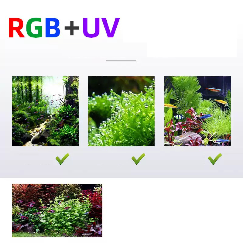 Led Verlichting 60cm 80cm 90cm - Aquarium Plants For Sale recensie en prijs