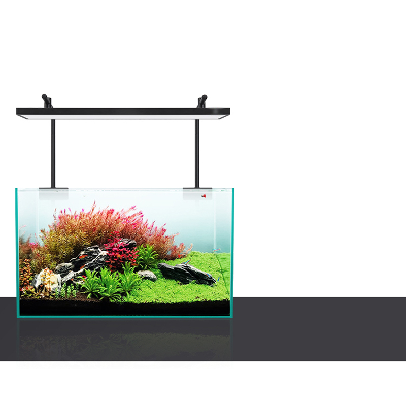 Led Verlichting 60cm 80cm 90cm - Aquarium Plants For Sale recensie en prijs