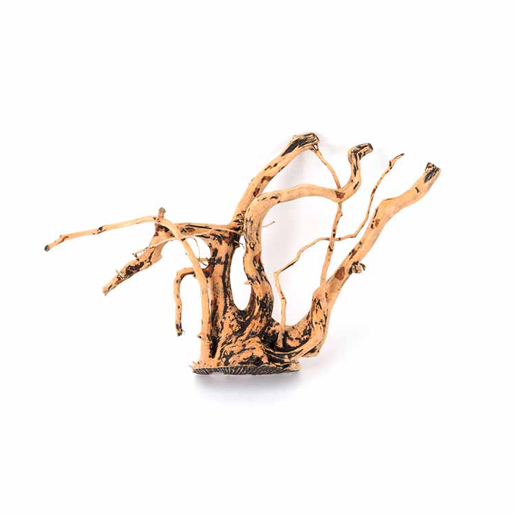 Groothandel hete verkoop natuu - Aquarium Plants For Sale recensie en prijs
