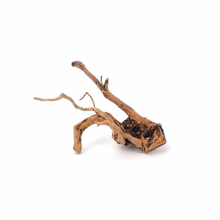 Groothandel hete verkoop natuu - Aquarium Plants For Sale recensie en prijs