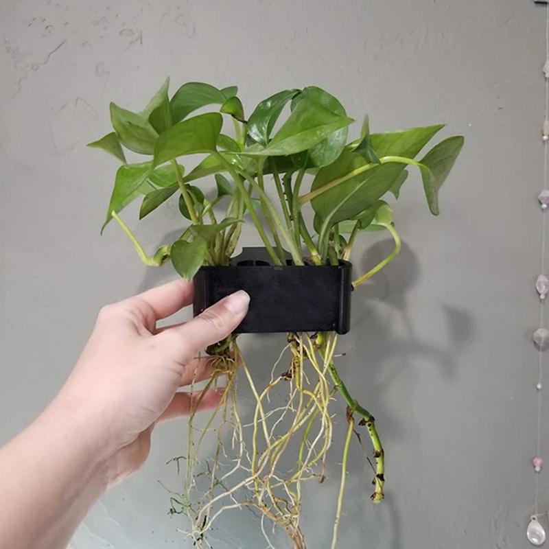 1 2 3 stuks Aquarium Plantenst - Aquarium Planted Set Up recensie en prijs