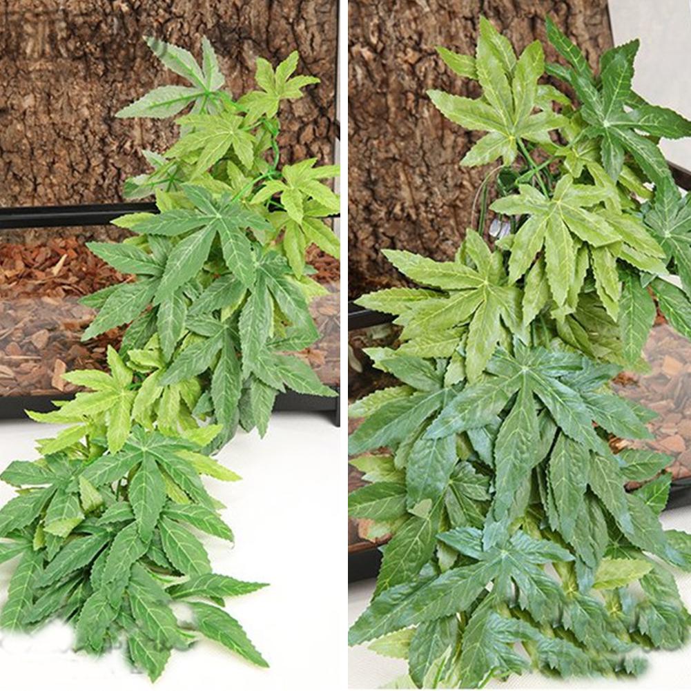 HOT KOOP 30/40/50 CM Aquarium  - Aquarium Plants For Sale recensie en prijs